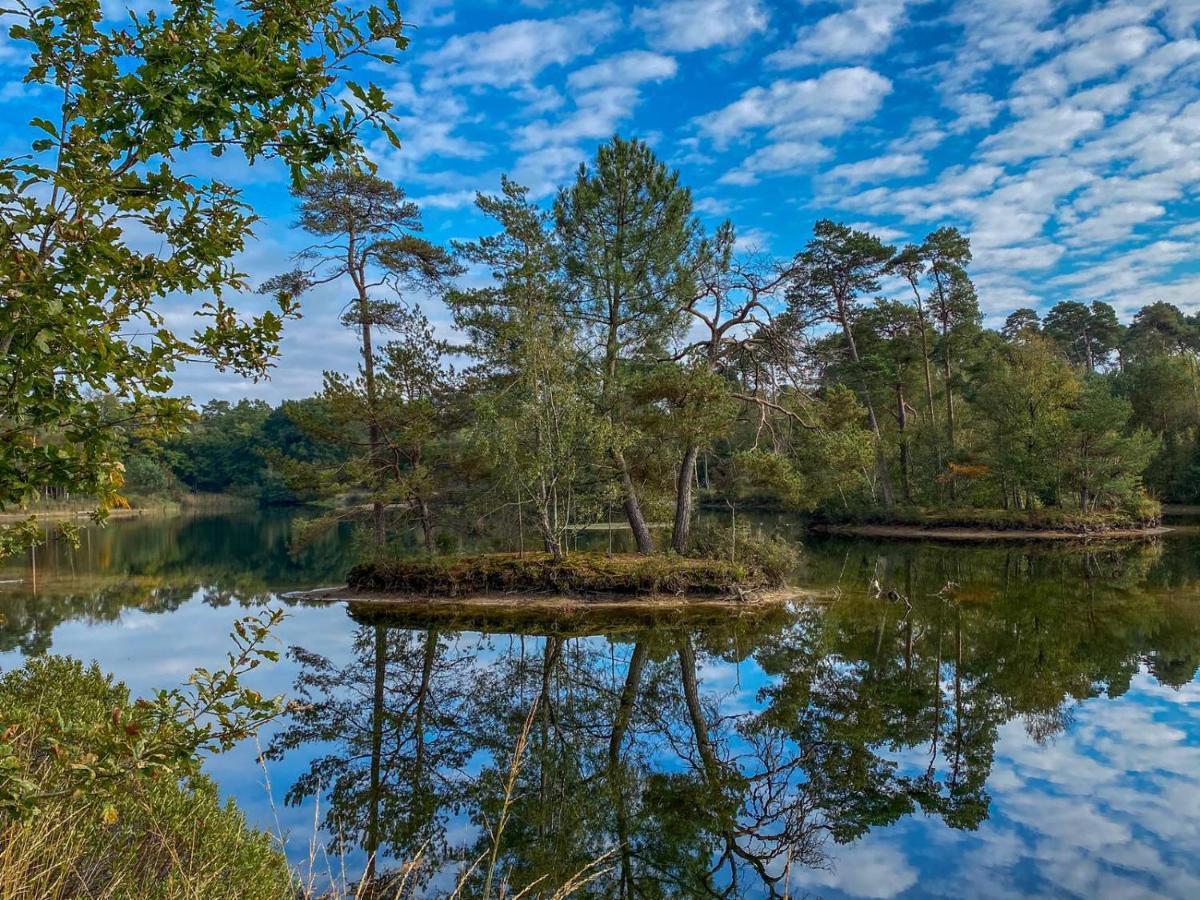 Bospareltjes Luxe Chalets Alleen Voor Recreatie Oisterwijk Exteriér fotografie